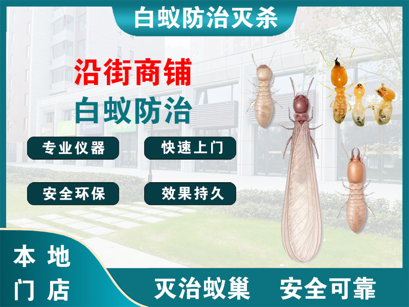 海陵区沿街商铺白蚁防治