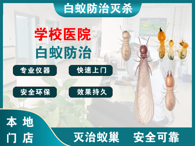 海陵区学校医院白蚁防治