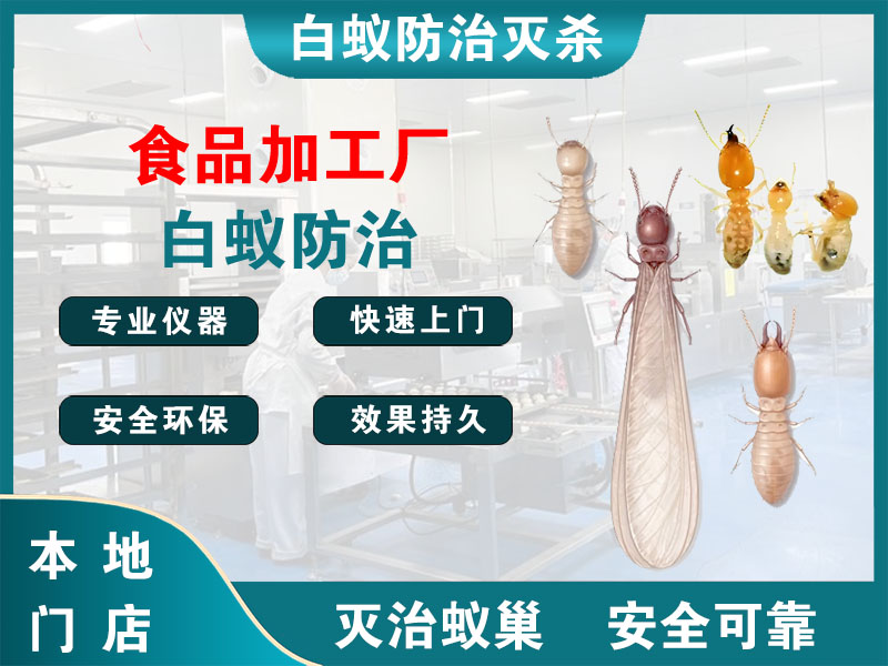 海陵区食品加工厂白蚁防治