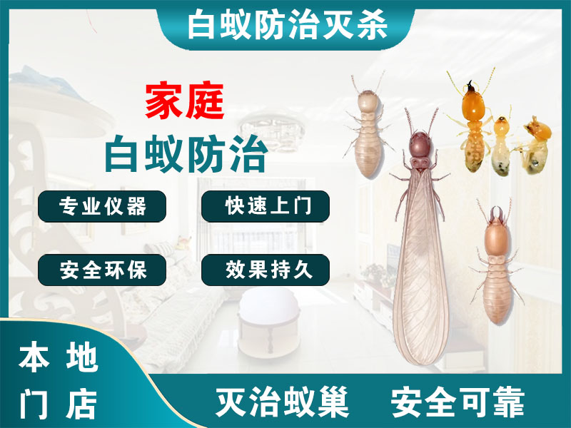 海陵区家庭白蚁防治