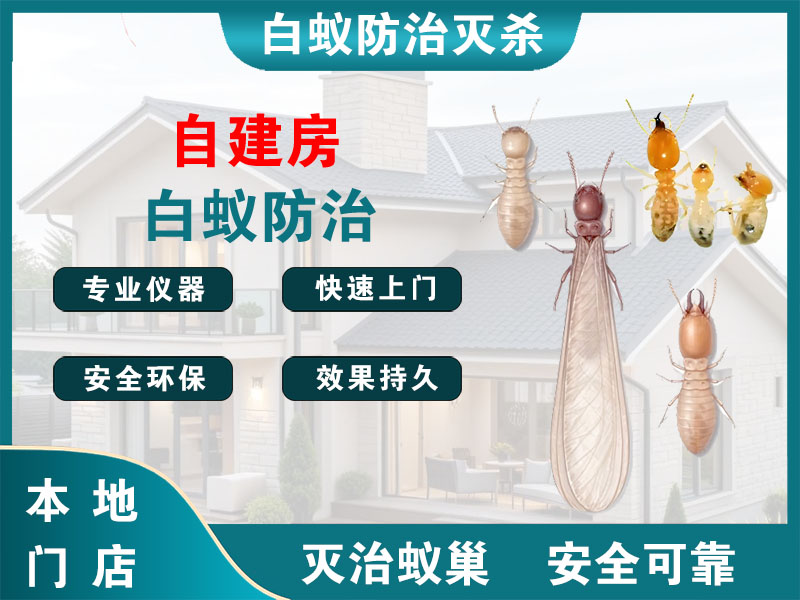 海陵区自建房白蚁防治