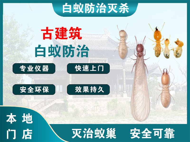 海陵区古建筑白蚁防治