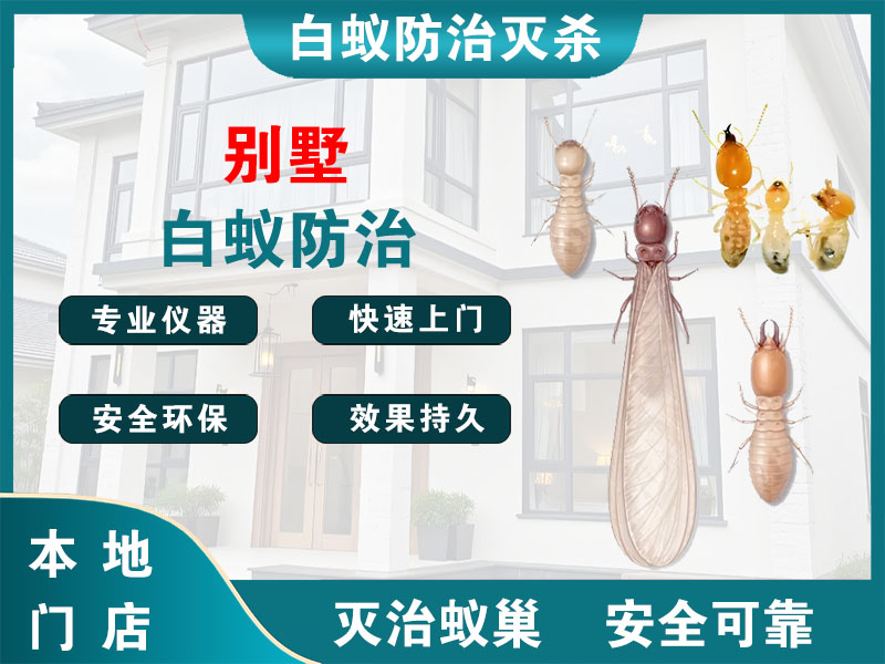 海陵区别墅白蚁防治