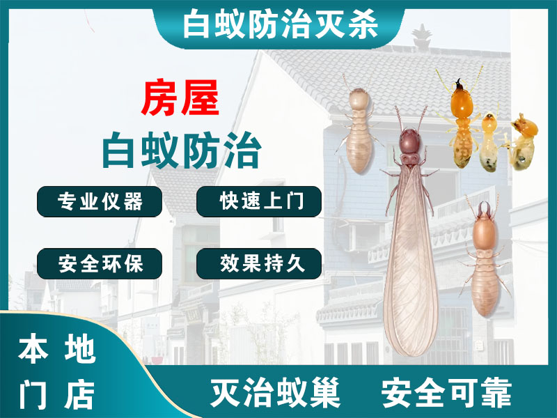 海陵区房屋白蚁防治